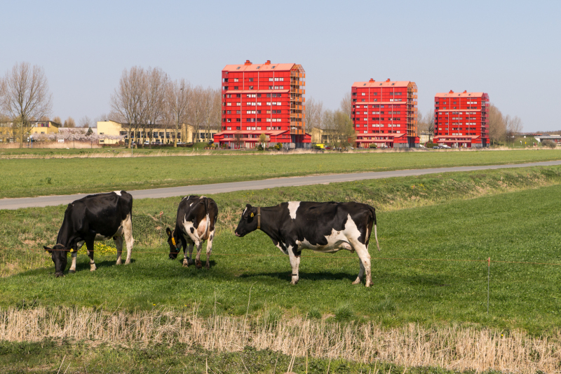 Bert-de-Ronde-03