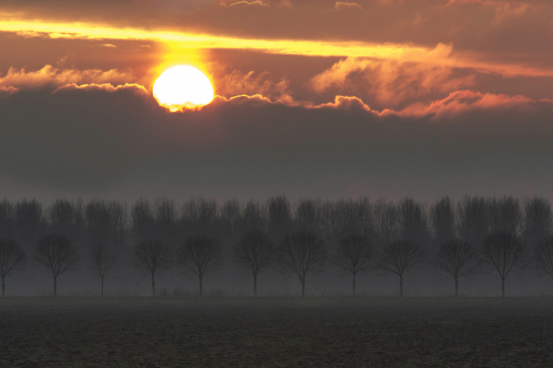 PeterV-Polder